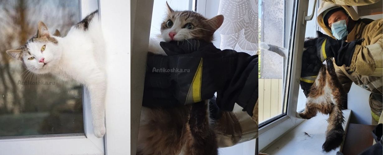 Опасность без сеток