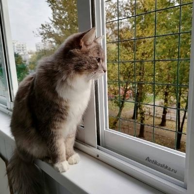 Из чего изотавливаются сетки антикошка