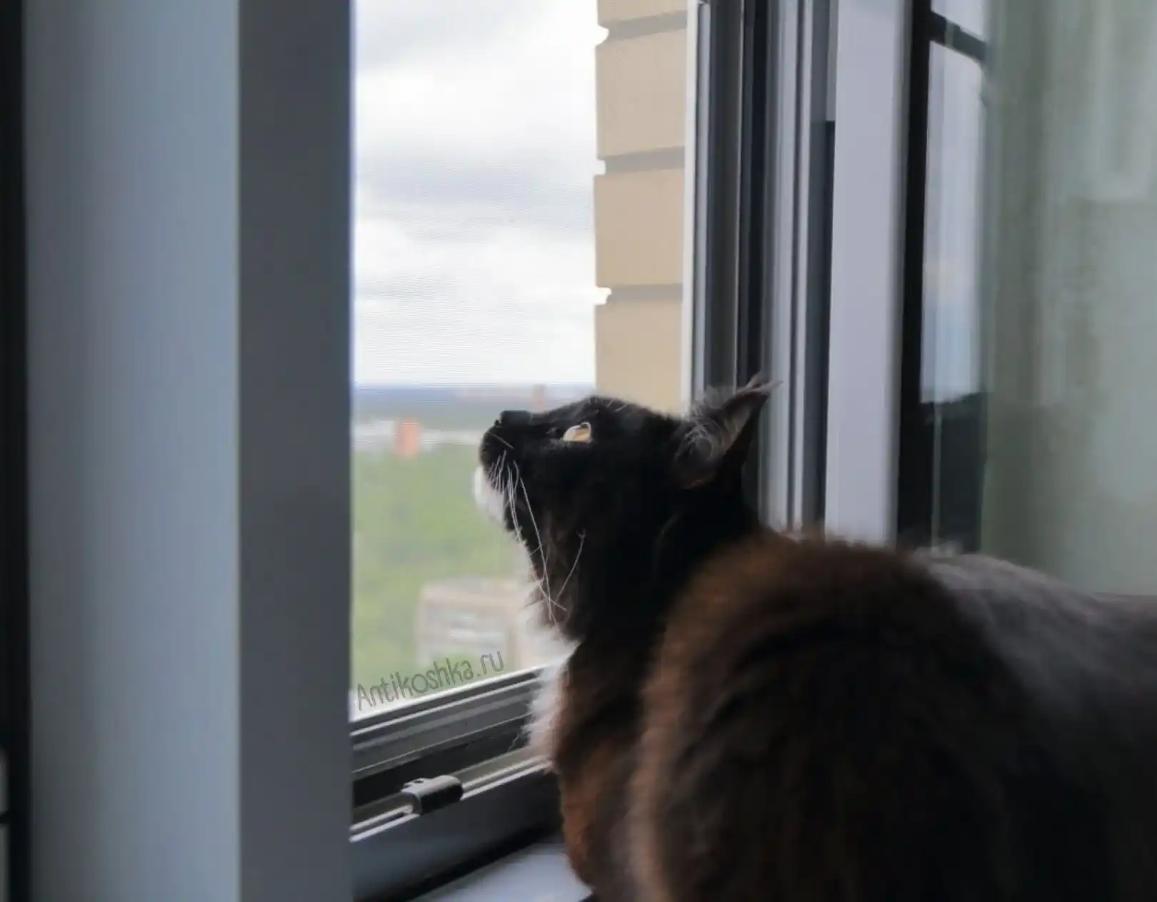 cетка из нержавейки