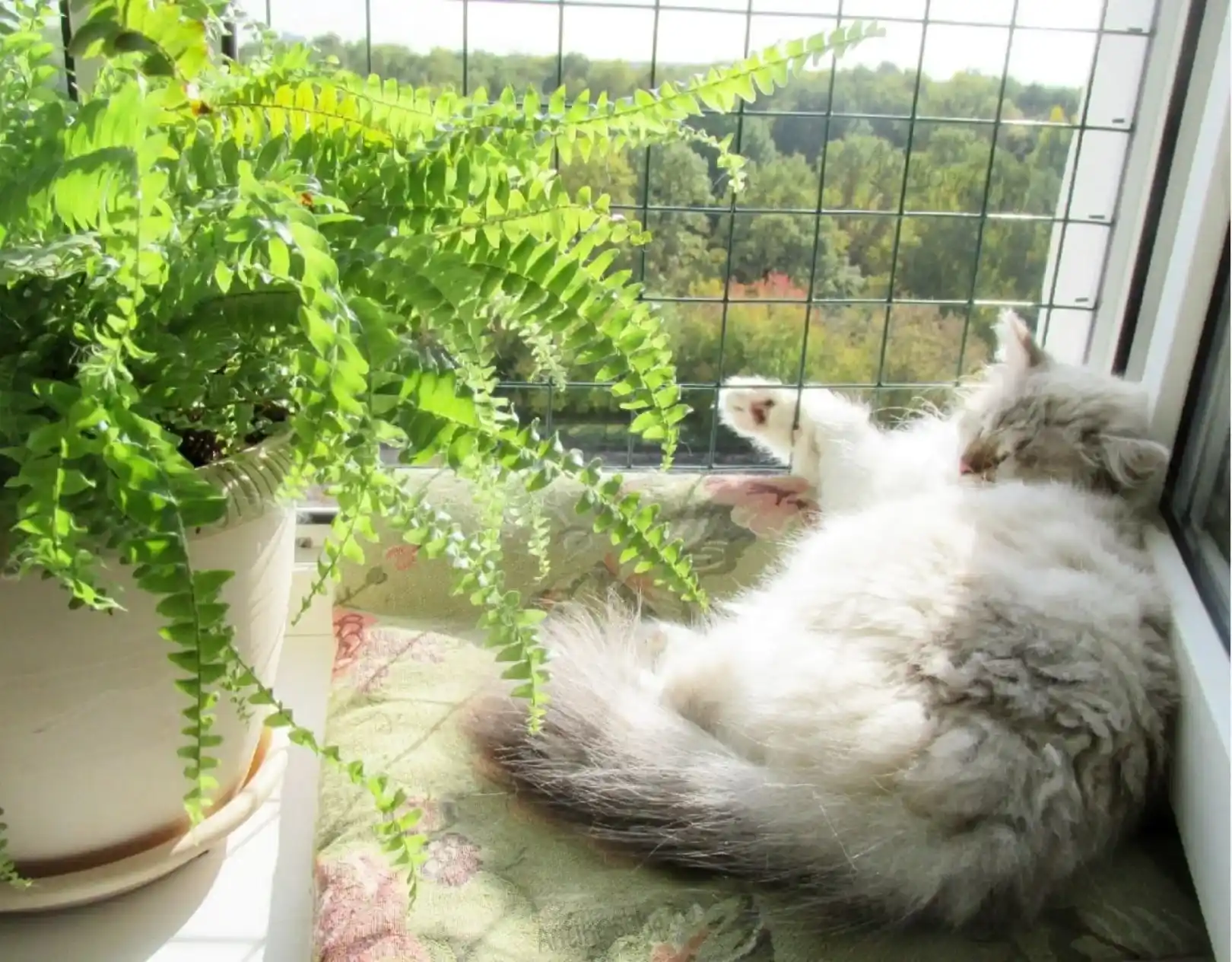 антикошка металлическая