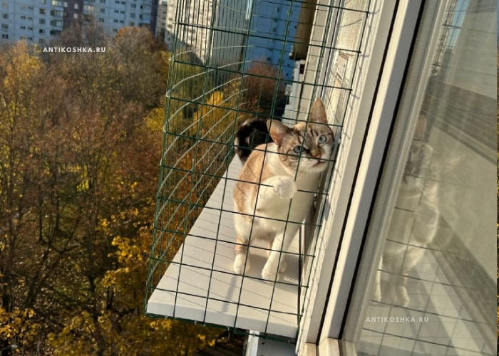 Стандартный выгул на окно - антикошка