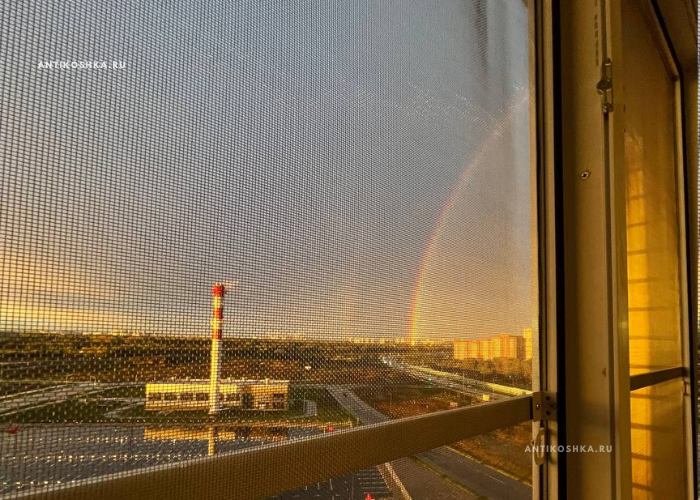 Сетка нержавеющая сталь на деревянное окно - антикошка