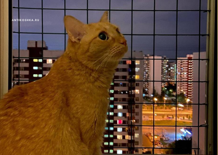 Оцинкованная сетка 2x2/5x5 - антикошка