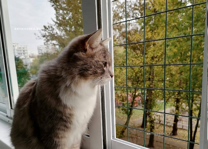 Крупная сетка 5x5/2x2 - антикошка