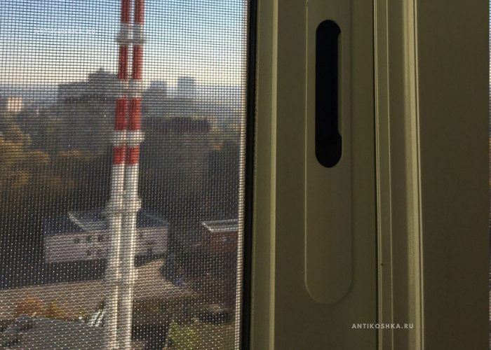 Сетка нержавейка - антикошка