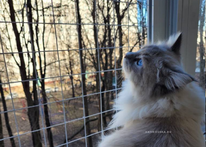 Крупная сетка 2x2/5x5 белая - антикошка